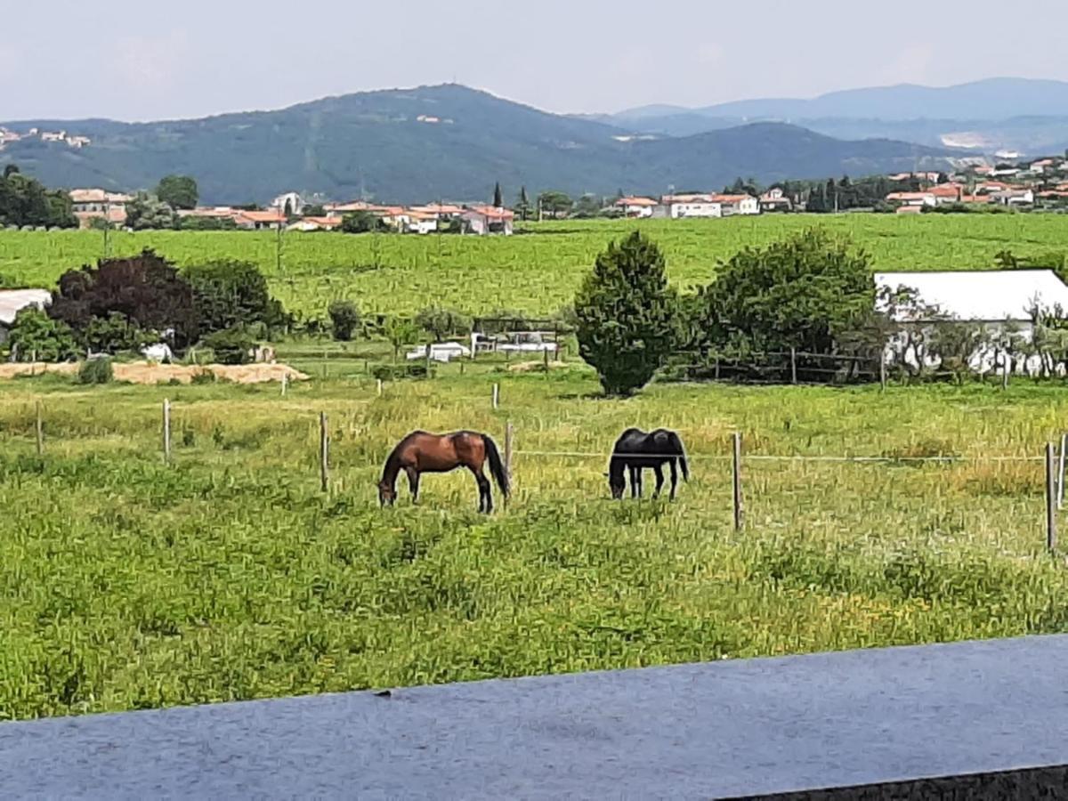 Nat Apartments Koper városi község Kültér fotó